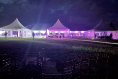 wedding2